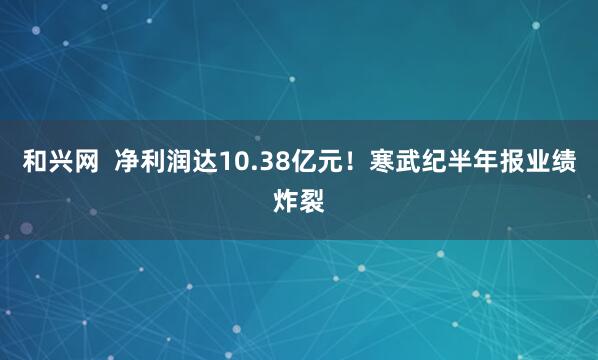 和兴网  净利润达10.38亿元！寒武纪半年报业绩炸裂