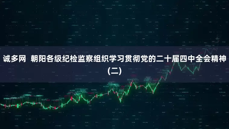 诚多网  朝阳各级纪检监察组织学习贯彻党的二十届四中全会精神(二)