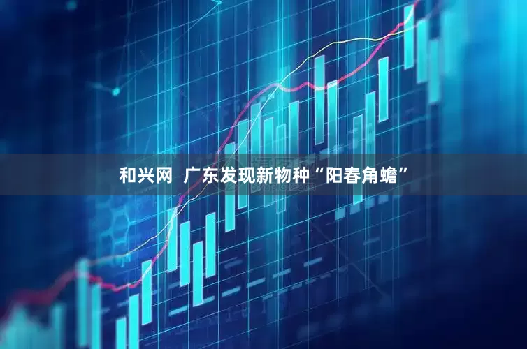 和兴网  广东发现新物种“阳春角蟾”