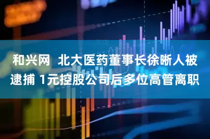 和兴网  北大医药董事长徐晰人被逮捕 1元控股公司后多位高管离职