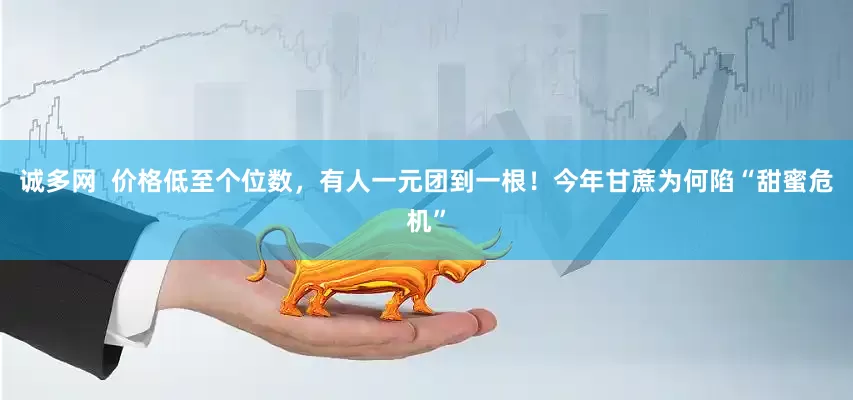 诚多网  价格低至个位数，有人一元团到一根！今年甘蔗为何陷“甜蜜危机”